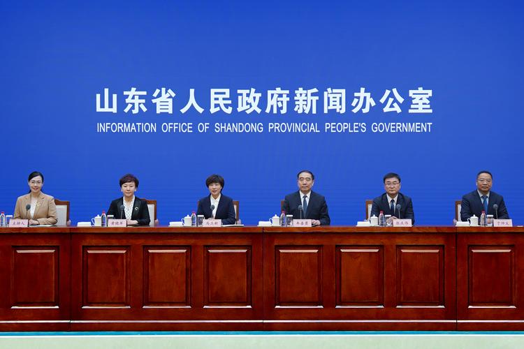 山东将实施“八大行动”提升新能源消纳能力