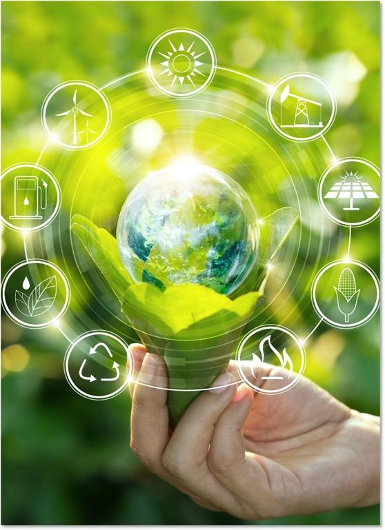 国常会部署节能降碳 因地制宜促进绿色转型